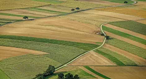 Двама животновъди наеха 1100 декара  пасища от Държавния поземлен фонд