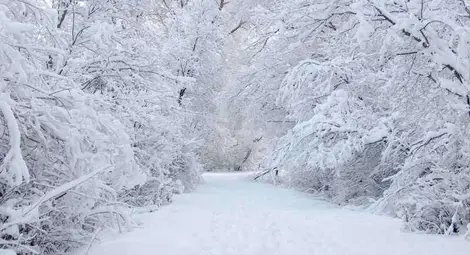 Оранжев и жълт код за ниски температури в 17 области