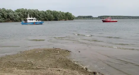 Установиха критично застрашена есетра с хайвер в Дунав