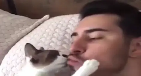 Целуващо стопанина си коте стана хит в интернет