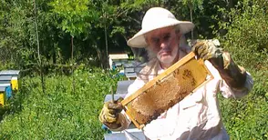 Започна приемът за предоставяне  на помощ de minimis за пчеларите