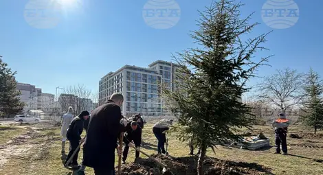 Снимка: БТА