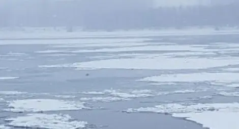 Опитен ловец се удави в Дунав, гонел патица по леда