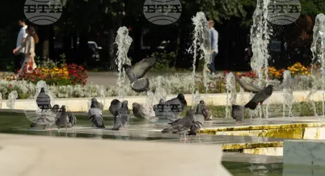 Снимка: БТА Снимка: БТА