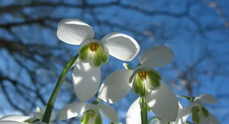 Предимно слънчево, температурите още ще се повишат