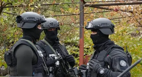 Разбиха организирана престъпна група за търговия с кръв в Русе