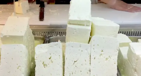 Кооперацията в Ряхово ще  произвежда сирене и кашкавал