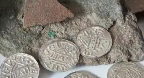 Жител на Чехия случайно откри &bdquo;съкровището на века&rdquo;