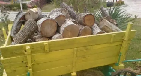 Конфискуваха каруца с дърва на бракониер Конфискуваха каруца с дърва на бракониер