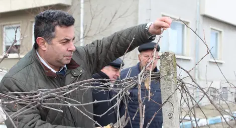 Царят на лозята в Екзарх Йосиф получи специална почетна грамота