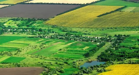 Държавата отдава за 10 години над 26 хиляди декара ниви в Русенско