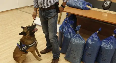 Задържаха в Гърция най-голямото количество в света “любима дрога на джихадистите” Задържаха в Гърция най-голямото количество в света “любима дрога на джихадистите”