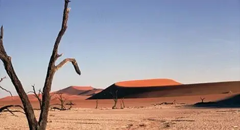 Учените определиха най-опасните страни в света Учените определиха най-опасните страни в света