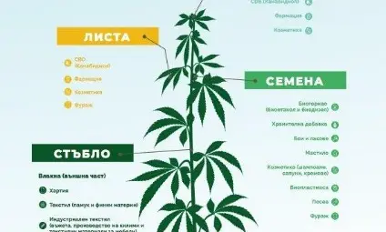 Приложения на конопа.