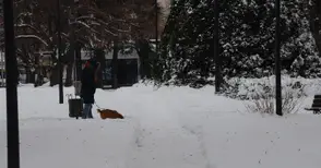 Малогабаритна техника с приоритет  разчиства тротоарите и малките улици