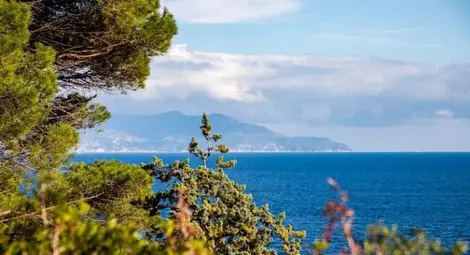 Правителството спаси последните диви плажове от застрояване