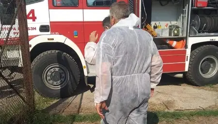 Георги Стоилов: Защо в свинекомплекса се умъртвяват животни с пяна от пожарната?