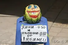 Българската диня заплашена от изчезване
