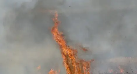 На седем сигнала са реагирали пожарникарите в Силистренско от 5 до 9 май