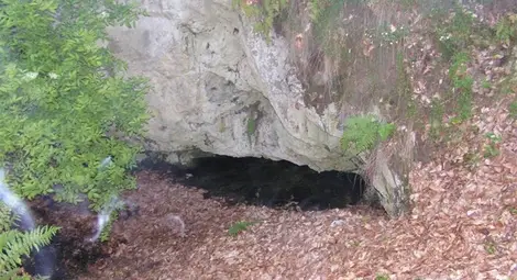 Четирима иманяри загинаха в търсене на златно имане в пещера в Гърция Четирима иманяри загинаха в търсене на златно имане в пещера в Гърция