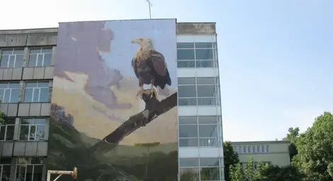 Орел кацна на калкана на строителната гимназия