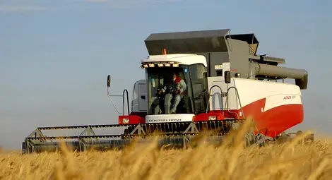 Ниските цени на зърното обричат на загуби земеделците Ниските цени на зърното обричат на загуби земеделците