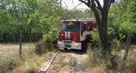 Снимки: Русе Медиа