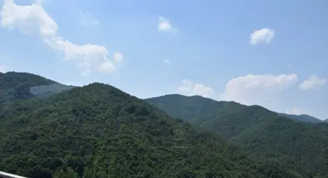 Световен ден за опазване на околната среда