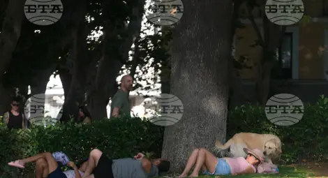 Снимка: БТА