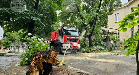 Снимка: БТА