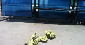 Дупка зейна по  велоалеята до „Ялта“