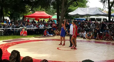 Децата на &bdquo;Юнак&ldquo; с три медала от турнир по борба в Паисиево