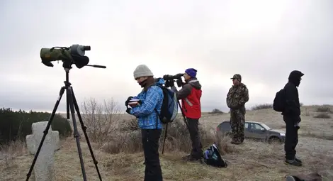 За 40-та поредна година броят птиците по Дунав За 40-та поредна година броят птиците по Дунав