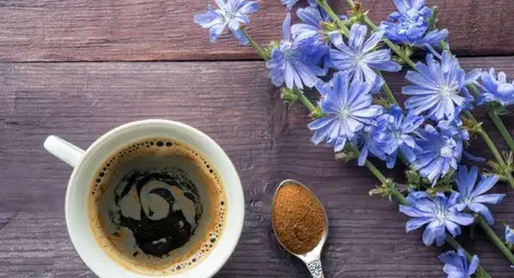 Растението, което успешно замества кафето