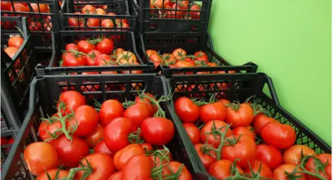 Градинарите на протест, недоволни са от подпомагането