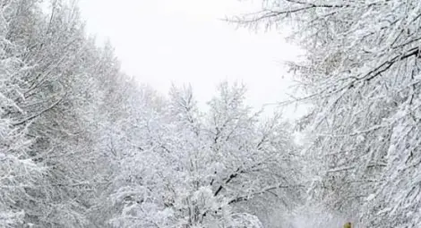 Сняг в Северна България, дъжд в останалите райони Сняг в Северна България, дъжд в останалите райони