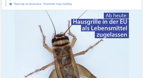 Истина ли е това: Ще ядат ли хора насекоми, без да го знаят, с разрешение на ЕС?