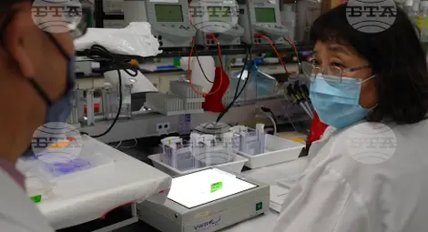 Снимка: БТА