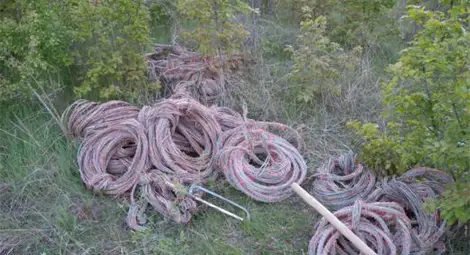 Във Франция осъдиха български крадци на медни жици на затвор Във Франция осъдиха български крадци на медни жици на затвор