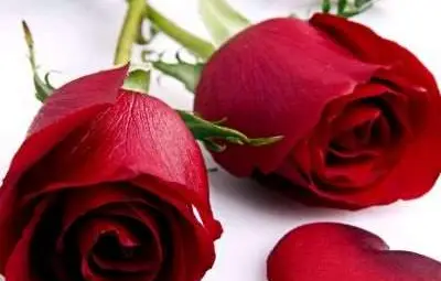 Най-големите грешки на мъжете на Свети Валентин