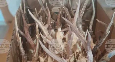 Снимка: БТА Снимка: БТА