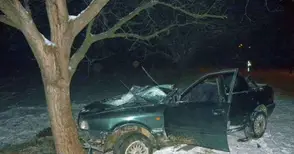 Шофьор загина на място след удар в дърво