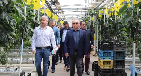 Новостите в оранжерийното производство обсъди Съвместната българо-румънска земеделска работна група към областната управа в Русе