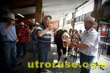 Австралийците пият и пушат по-малко, но пълнеят повече 