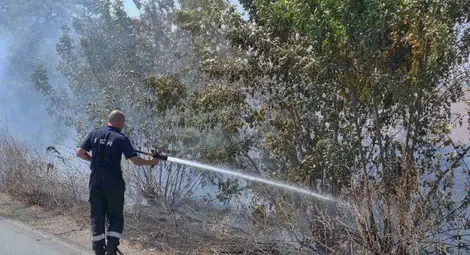 Заместник областният управител Георги Георгиев обяви началото на пожароопасния сезон в горските територии на Русенска област