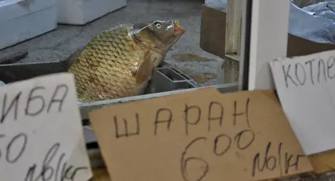 ИАРА започва масови проверки преди Никулден