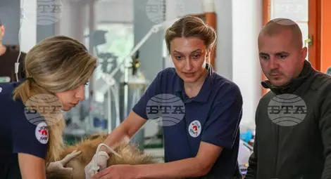 Снимка: БТА Снимка: БТА