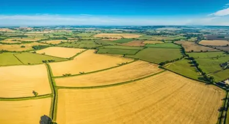 Земеделската земя поскъпна  близо 4 пъти за 10 години