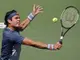 Раонич няма да играе на Ю Ес Оупън