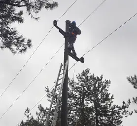 Екипи на ЕРП Север отстраниха тежка авария в трудно достъпен терен в района на силистренското село Сребърна Екипи на ЕРП Север отстраниха тежка авария в трудно достъпен терен в района на силистренското село Сребърна